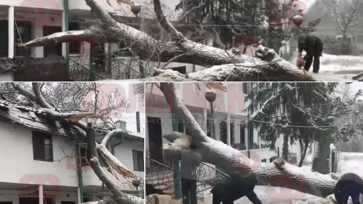 Вярващи от други градове с добро дело в Бургас