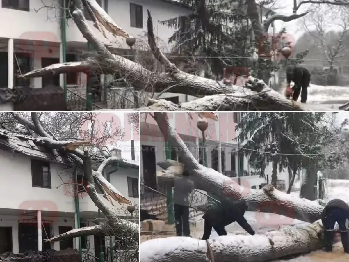 Вярващи от други градове с добро дело в Бургас
