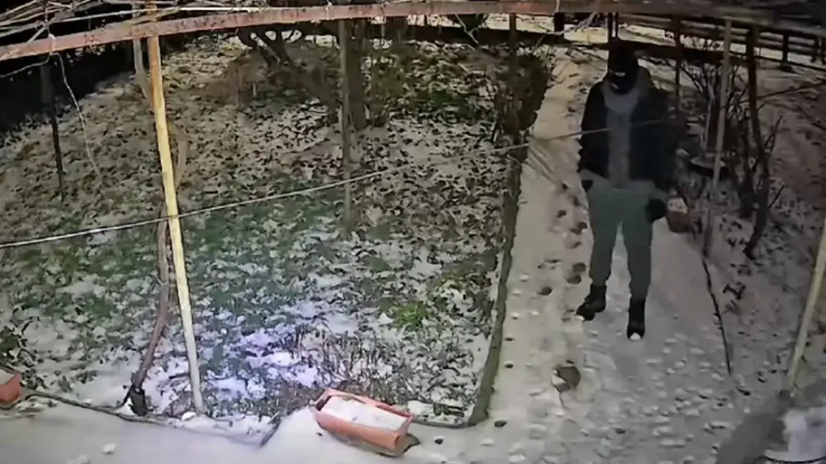 Такова нещо досега не бяха крали в Добрич
