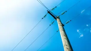 Ток от уличен стълб удари куче в София - стопанката алармира за опасност