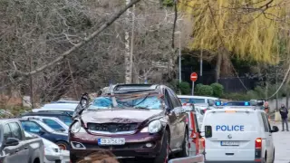 Месец след трагедията с майка на Витоша - пълно е с дървета-убийци