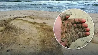 Русия трови Черно море, масова гибел на...