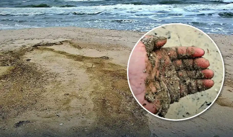 Русия трови Черно море, масова гибел на...