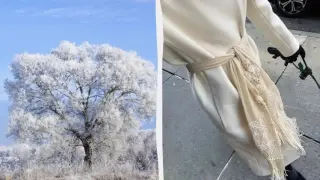 Този аксесоар добавя нотка блясък към всяка визия Снимки