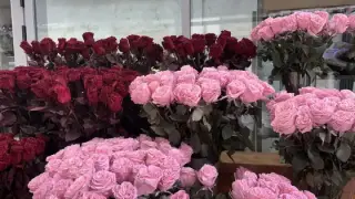 400 евро за 101 рози! Любовта поскъпна ли преди 14 февруари