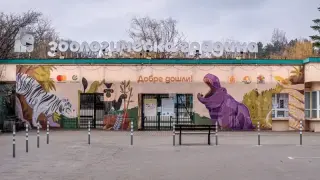 Авария в зоопарка в София