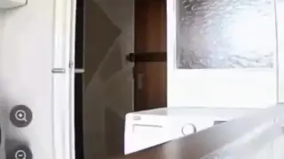 Котарак намери камерата, която го следеше