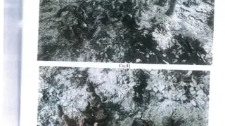 Нови потресаващи бележки 18+ от хижата на смъртта "Петрохан": Спермата се предлага в приношение преди да се избърше