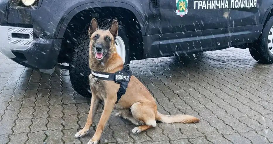 Развръзка с възрастна румънка, часове след изчезването й край Силистра