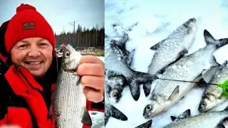 Рибата фантом се оказа жива: Изненада рибарите в Родопите