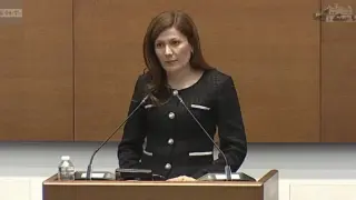 Декларация на Ертен Анисова от ДПС-НОВО НАЧАЛО по повод Международния ден на майчиния език