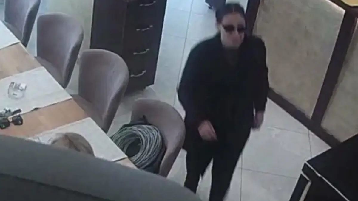 Кръчмарите в Пиринско изреваха от пишман певица: яде, пие и после бяга, без да плати