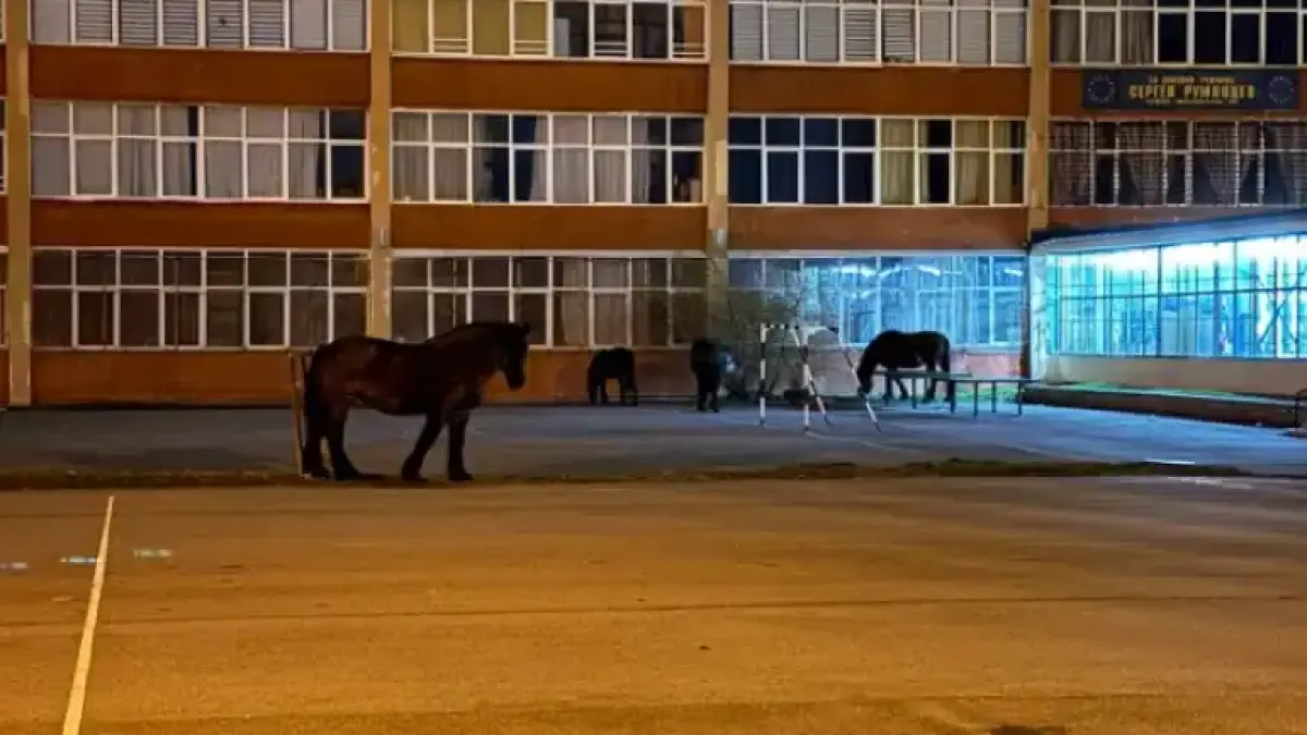 Необичайна гледка в софийско училище възмути родители и съседи Снимки