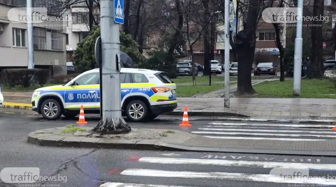 Линейка и полиция на ключов пловдивски булевард след удар на пешеходка