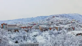 Безплатно и офлайн - голямо улеснение за туристите в наш град