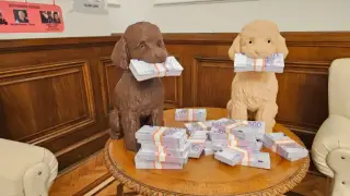 Пудели с пачки посрещат в "Музея на сглобката", дори посланикът на Иран дойде да ги види