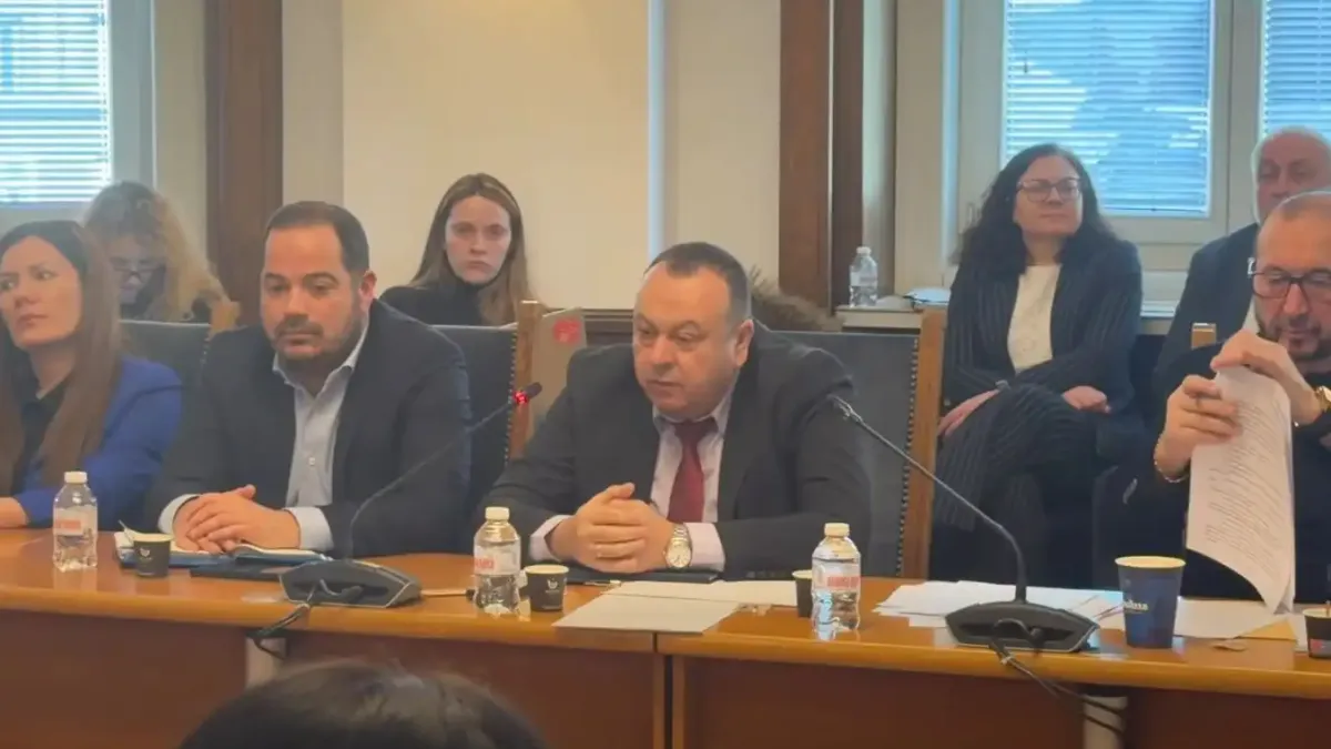 Хамид Хамид пред Правната комисия: Конституцията на Република България не прави разлика къде се намира едно лице