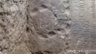 Свищовлия изкорени дърво в двора си, отдолу се показаха римски гробове Снимки