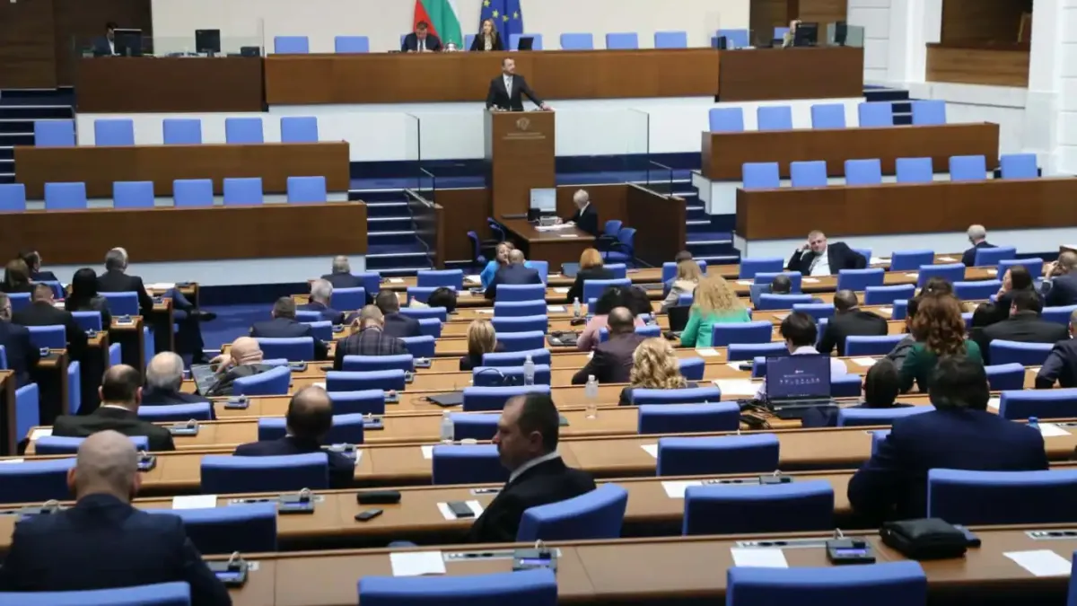 Проф. Стоянович за Народното събрание: Срамота е да е в този вид!
