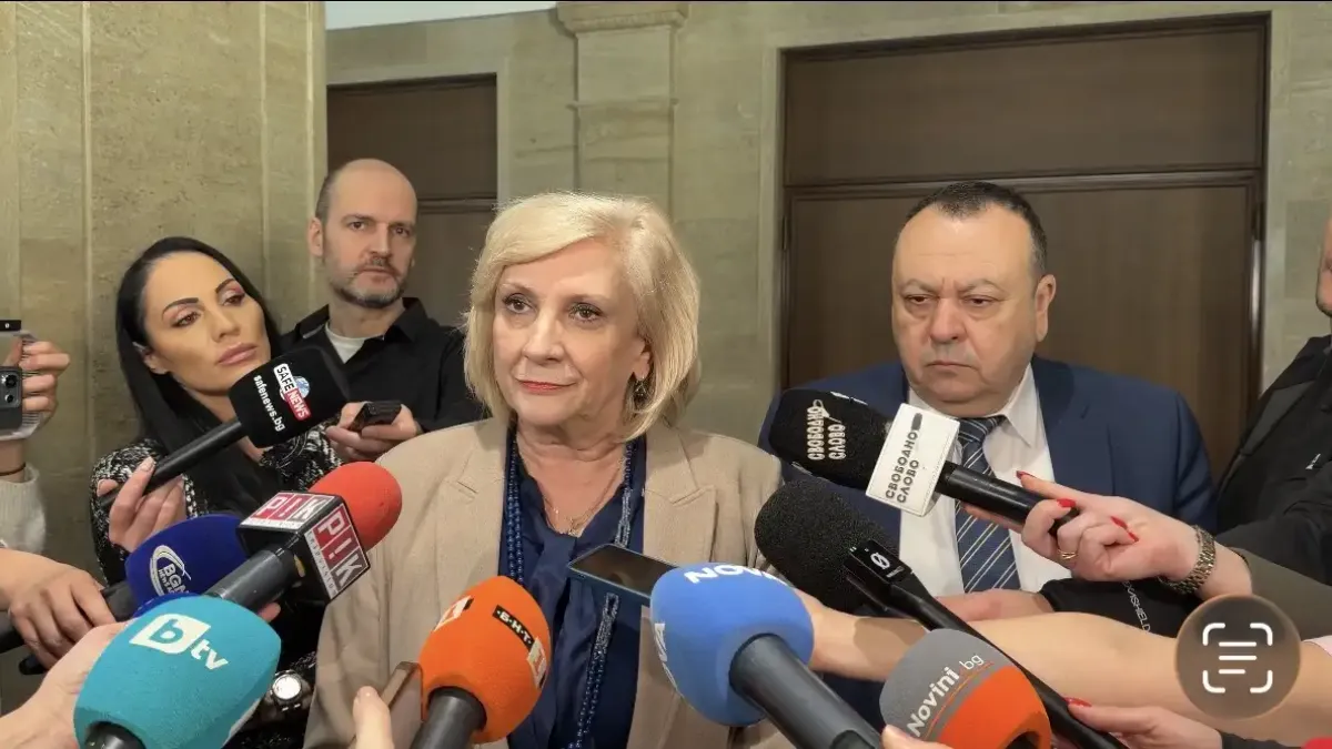 Искра Михайлова обясни различния вот на трима от ДПС-Ново начало за Изборния кодекс