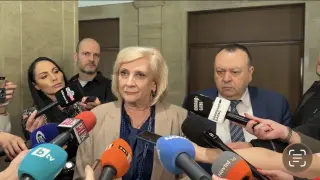 Искра Михайлова обясни различния вот на трима от ДПС-Ново начало за Изборния кодекс