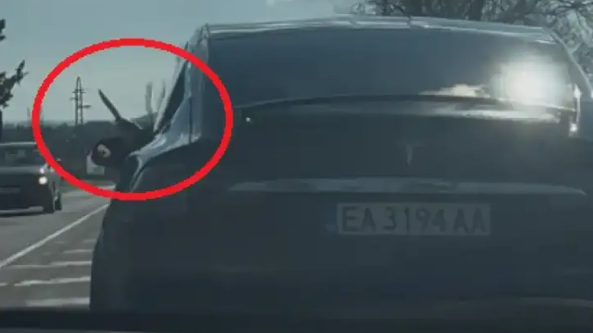 Агресия на пътя Варна-Бургас: Шофьор на Tesla набива спирачки и размахва нож Снимки