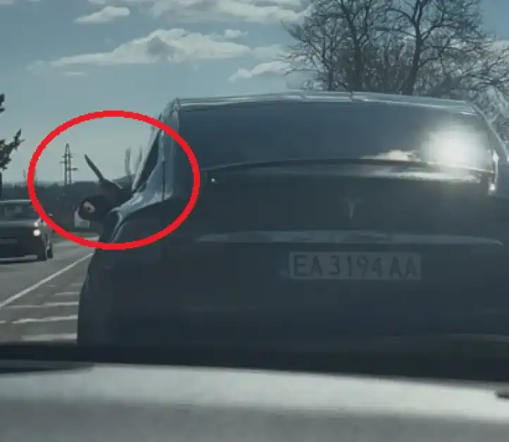 Агресия на пътя Варна-Бургас: Шофьор на Tesla набива спирачки и размахва нож Снимки