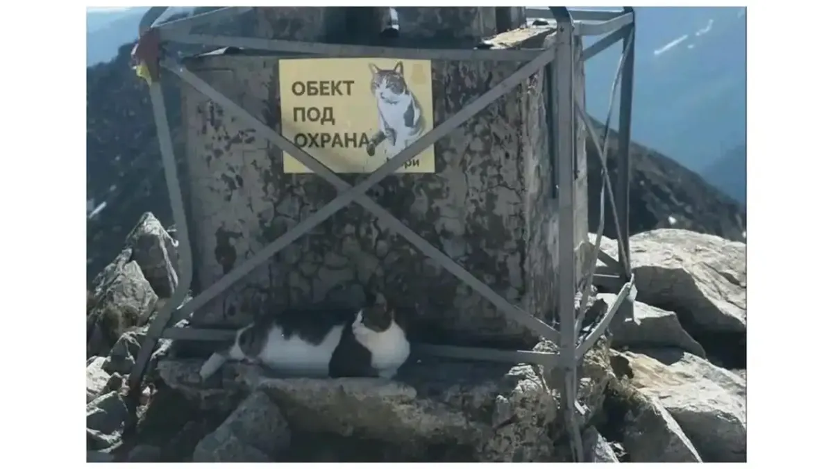 Пазителят на Мусала е в болница