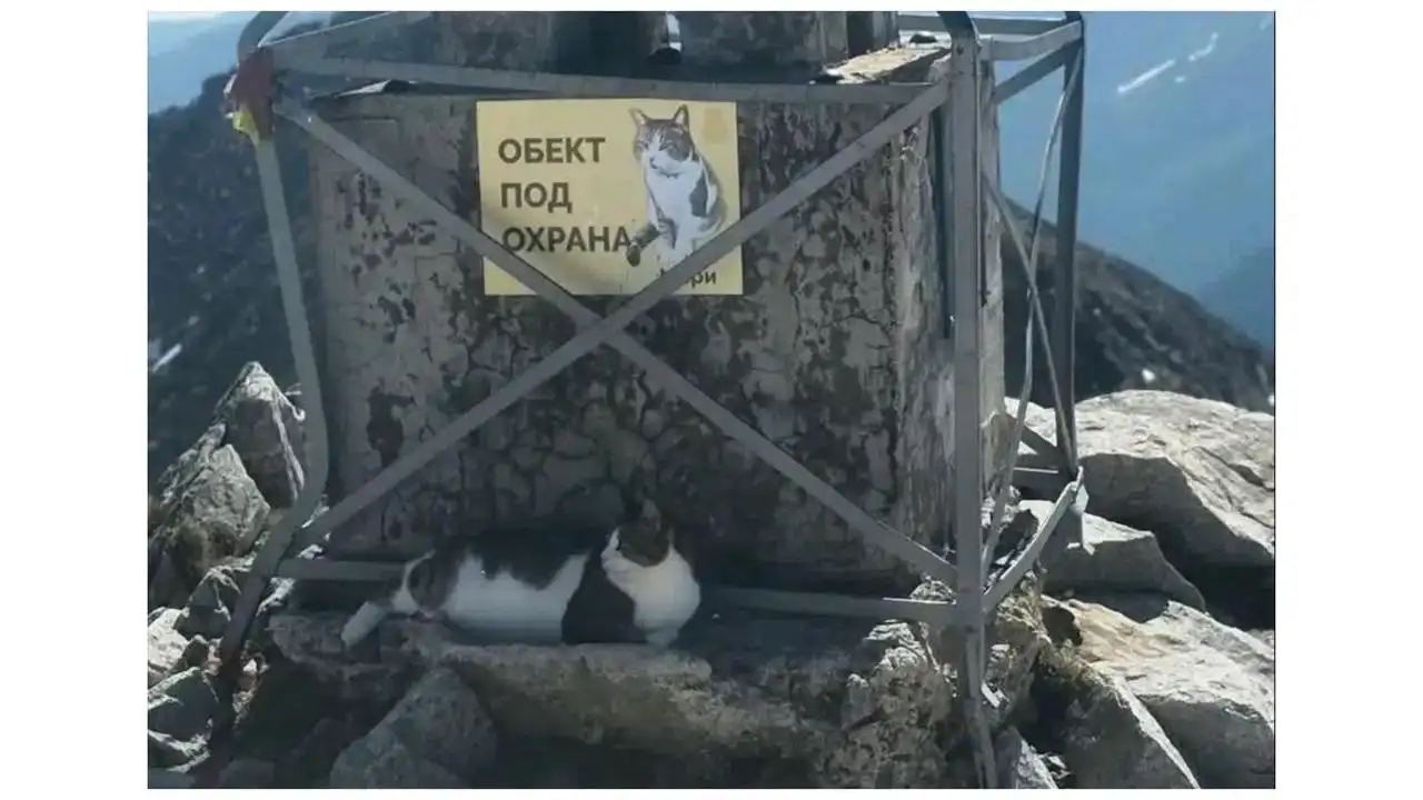 Пазителят на Мусала е в болница