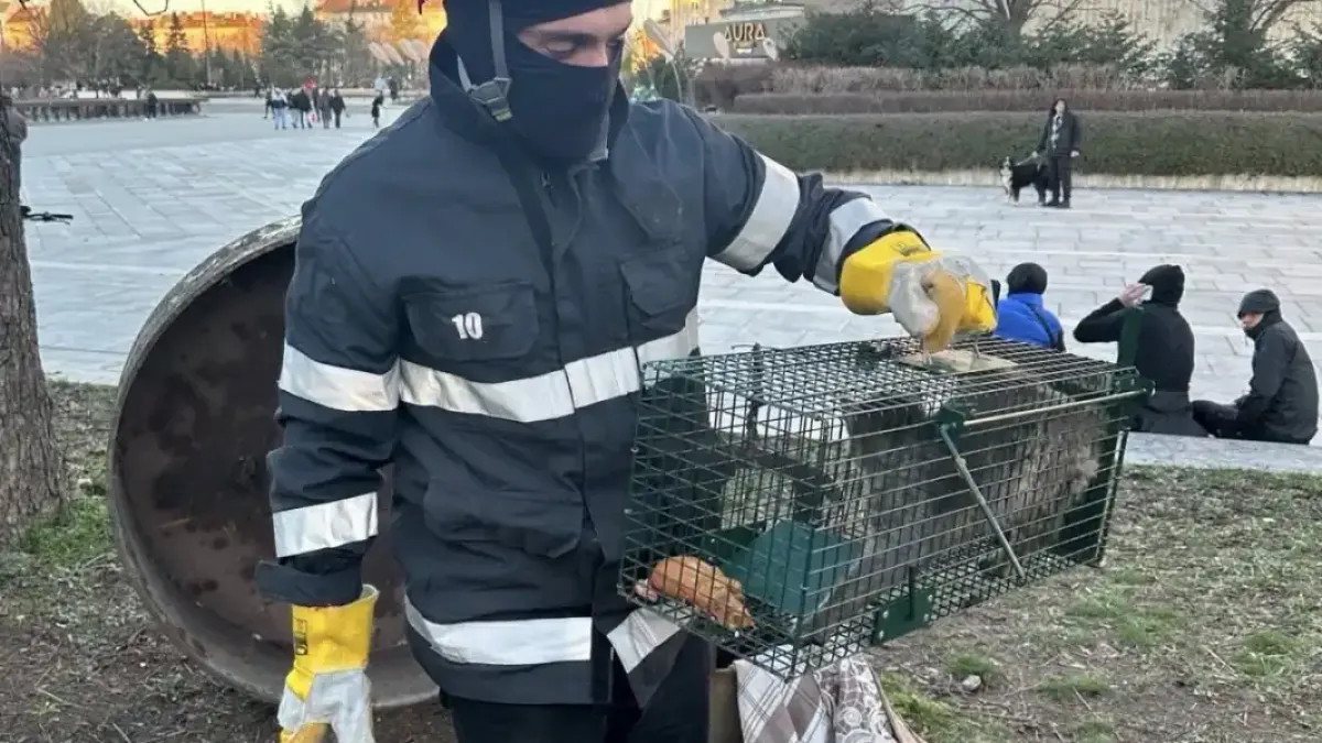 Коте падна в шахта до НДК, веднага се отзоваха спасители Снимки