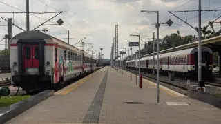 "Човешкият Хачико" от Бургас почина мистериозно: Трупът му открит на ул. "Оборище"
