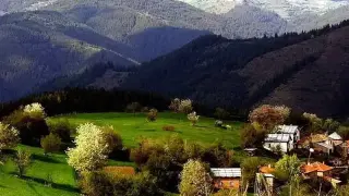 Това е най-енергийното село у нас! Пази магично цвете, което възкръсва