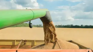 Световното производство на зърно достигна рекорд
