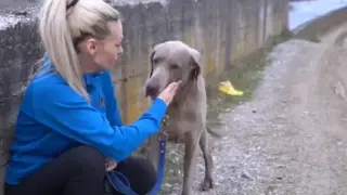Доброто е живо: Христина е жената, скочила в язовир "Огоста", за да спаси кучето си