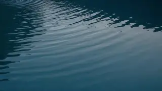 Голям наш язовир пак изненада неприятно