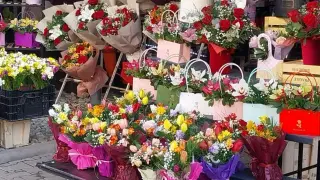 Проверка на НАП по цветарските магазини - ръст в нарушенията
