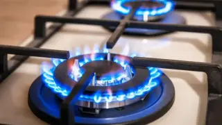 "Булгаргаз" поиска по-висока цена на газа за април
