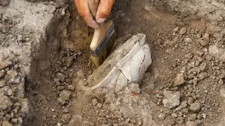 Археолози от Турция разкриха мозайка с любопитно послание при Сиедра