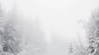 НИМХ: Дъжд, сняг и силен вятър в събота