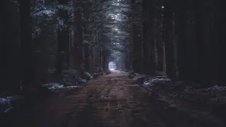 Красива сърна заснеха по тъмно в село в Трънско