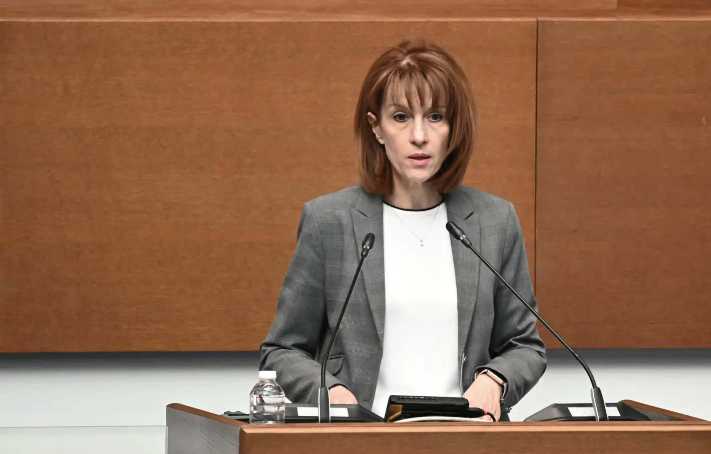 Двойно повече заявления за гласуване в чужбина от предходните избори