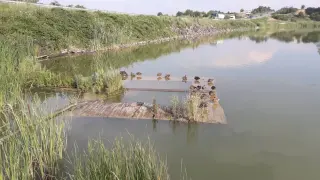 Откриха мъртва риба в "Дибич", в язовира тече неустановена течност
