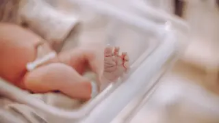 Болница „Шейново“: 7 бебета проплакаха навръх Благовещение