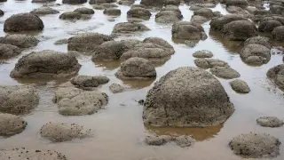 Езерото феномен Клифтън с "живи камъни" във водите си