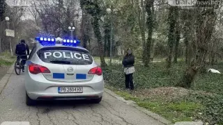 Операция „Бръшлян“ в пловдивския парк „Лаута“ вкара полицията в шах
