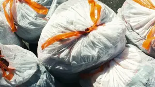 Откриха изхвърлени кучета и боклуци край пловдивското село Труд