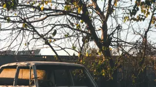 Потрошена „Шкода“ във Варна: Шофьорът издирва извършителя