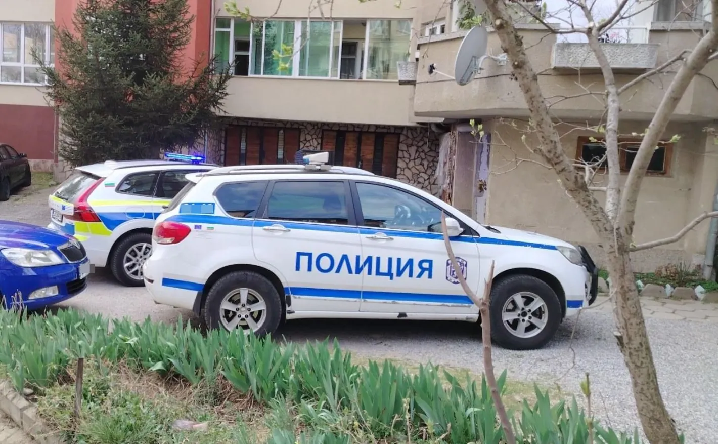 Издирват 79-годишна жена, изчезнала от село Ръжена