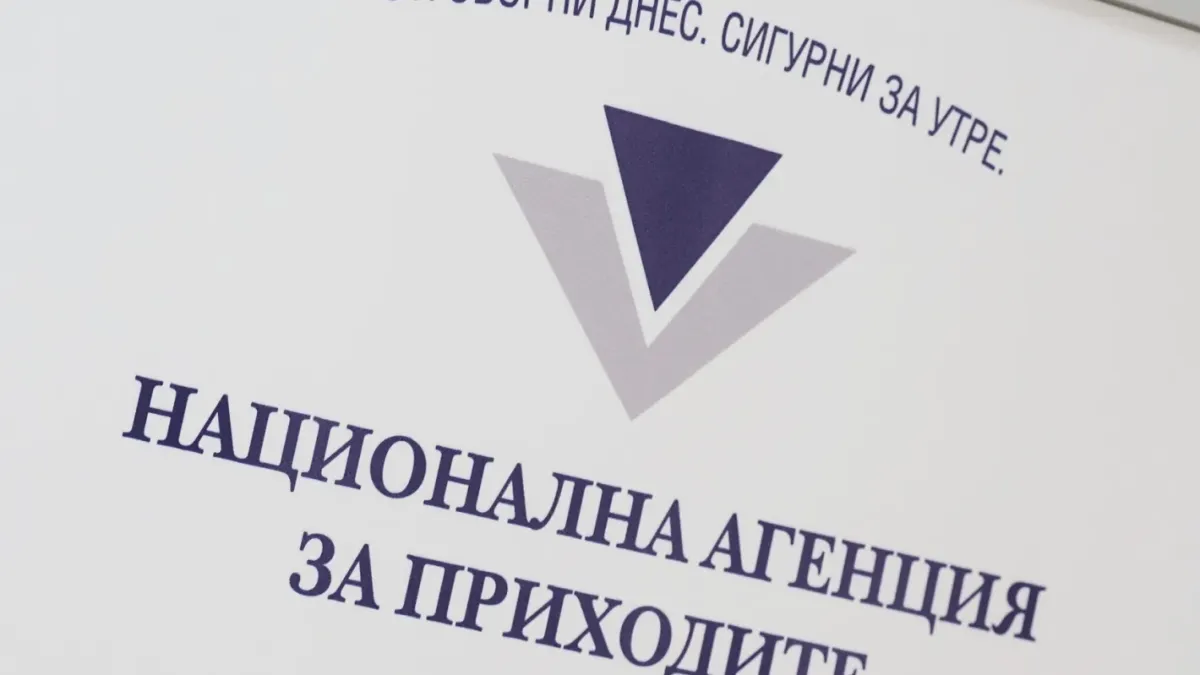 НАП улеснява малките фирми с нова е-услуга за отчети