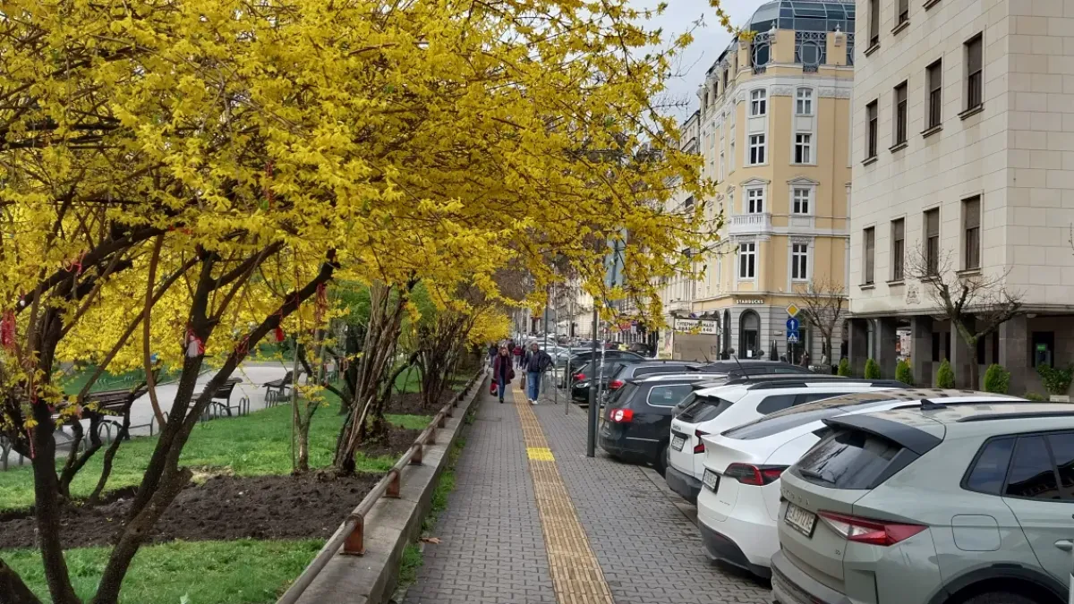 Нагло: Кола паркира до диагонал на пешеходна пътека Снимка